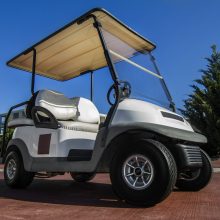 Electric Golf Cart