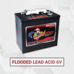 Flooded Lead Acid 6 Volt Deep Cycle Battery