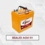 Sealed AGM 8 Volt Electric Deep Cycle Battery