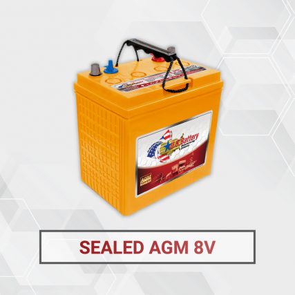 Sealed AGM 8 Volt Electric Deep Cycle Battery